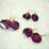 Red real dry rose Petal Earing